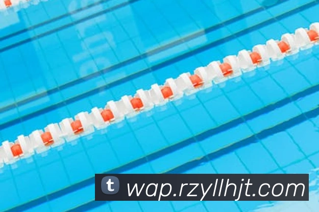 leyu乐鱼品牌故事