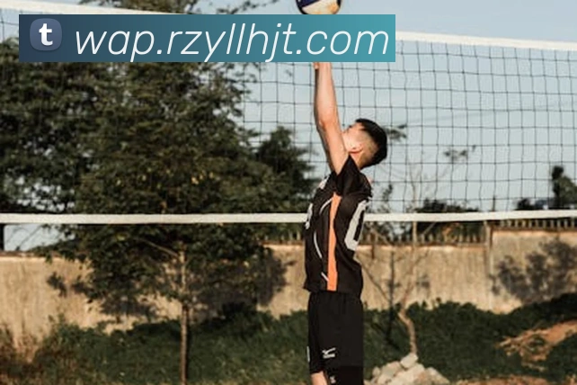 leyu乐鱼服务体系